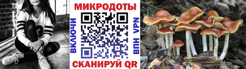 Псилоцибиновые грибы Cubensis  Среднеуральск 